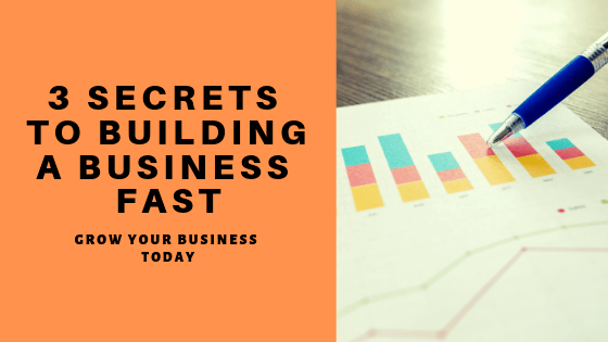 3 Secrets To Building A Business Fast Small Biz Blueprint