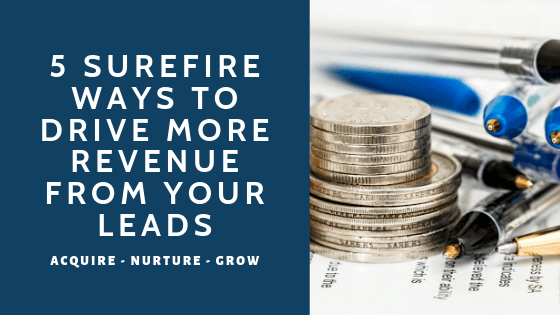5 Surefire Ways To Drive More Revenue From Your Leads