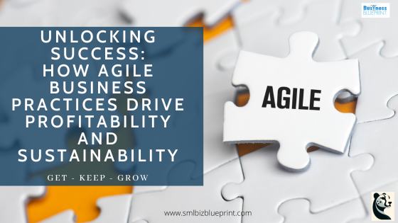 Unlocking Success: How Agile Business Practices Drive Profitability and Sustainability