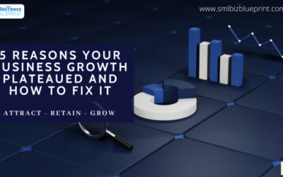 5 Reasons Your Business Growth Plateaued and How to Fix It